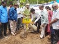 NAKSHATRA VANAM