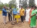 NAKSHATRA VANAM