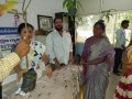 Distribution of Plants