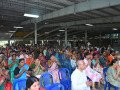 DSC_0005.JPG-Medium